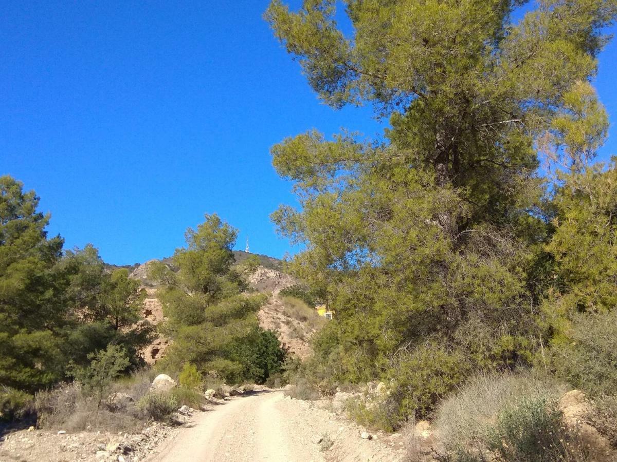 מורסיה Finca El Carrascal מראה חיצוני תמונה